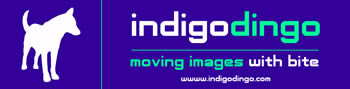 Indigo Dingo Indigo Dingo